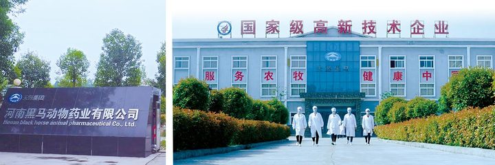 畜牧渔业饲料 产业支撑与绿色发展的关键