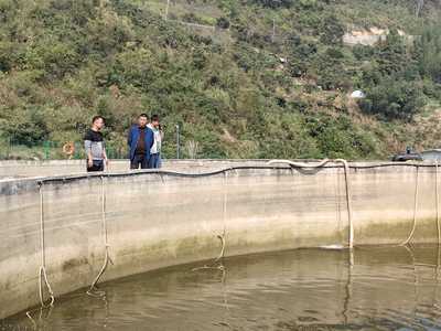 筑牢安全防线 守护绿水青山——县农业农村局赴花梨镇开展鲟鲈种业园专项检查