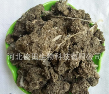 农业全产业链纵览 从农田到餐桌的多元生态